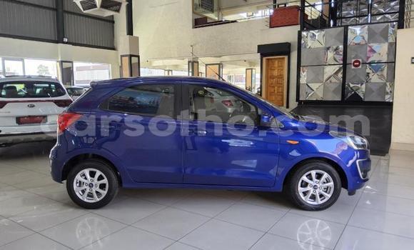 Buy Used Ford Fiesta Blue Car in Maseru in Maseru Buy Used Ford Fiesta Blue Car in Maseru in Maseru