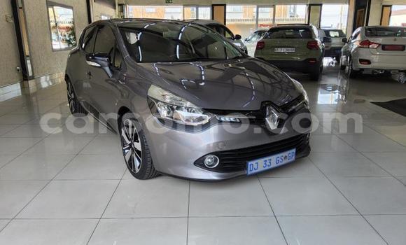 Buy Used Renault Clio Silver Car in Maseru in Maseru Buy Used Renault Clio Silver Car in Maseru in Maseru