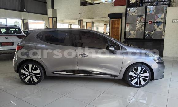 Buy Used Renault Clio Silver Car in Maseru in Maseru Buy Used Renault Clio Silver Car in Maseru in Maseru