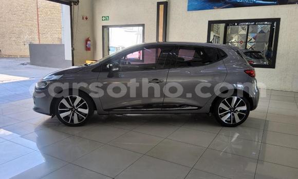 Buy Used Renault Clio Silver Car in Maseru in Maseru Buy Used Renault Clio Silver Car in Maseru in Maseru