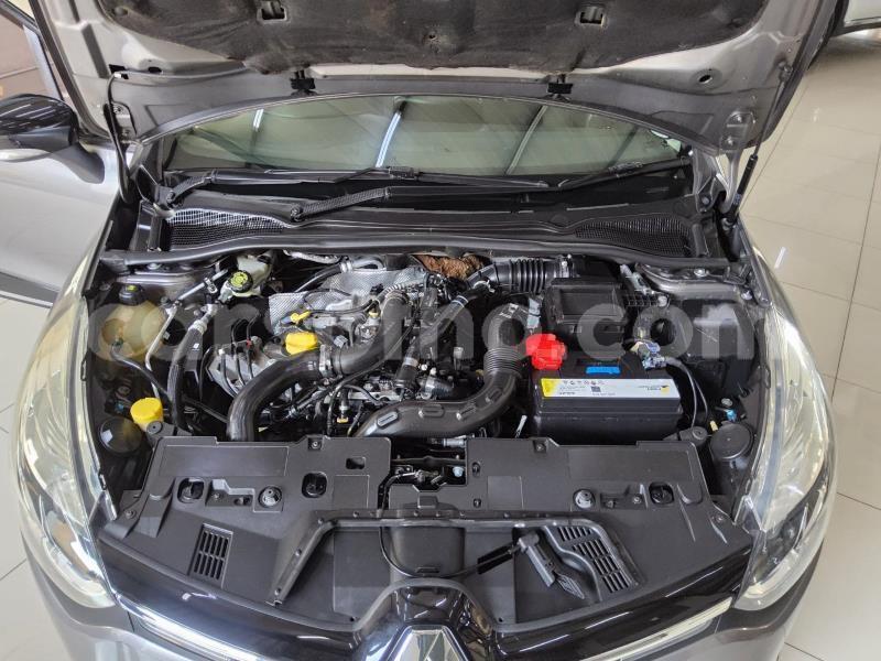 Big with watermark renault clio maseru maseru 31746