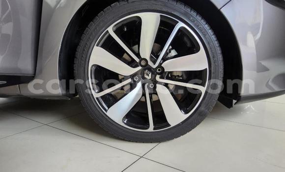 Buy Used Renault Clio Silver Car in Maseru in Maseru Buy Used Renault Clio Silver Car in Maseru in Maseru