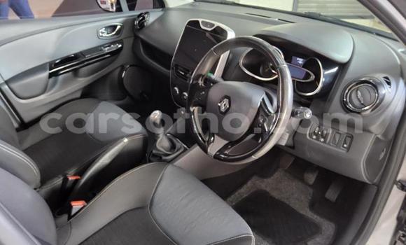 Buy Used Renault Clio Silver Car in Maseru in Maseru Buy Used Renault Clio Silver Car in Maseru in Maseru