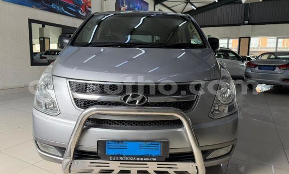 اشتري مستعمل Hyundai H1 Silver سيارة في Maseru في Maseru اشتري مستعمل Hyundai H1 Silver سيارة في Maseru في Maseru
