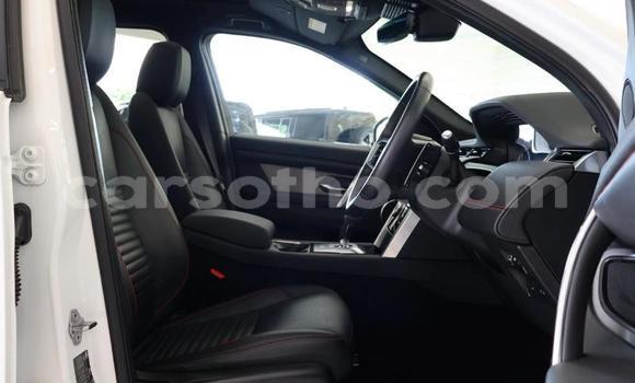 Buy Used Land Rover Discovery Sport White Car in Qacha's Nek in Quthing Buy Used Land Rover Discovery Sport White Car in Qacha's Nek in Quthing