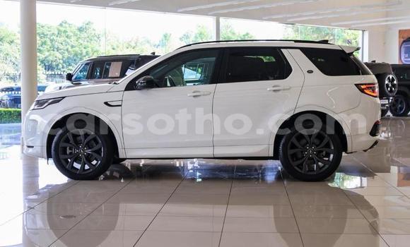 Buy Used Land Rover Discovery Sport White Car in Qacha's Nek in Quthing Buy Used Land Rover Discovery Sport White Car in Qacha's Nek in Quthing
