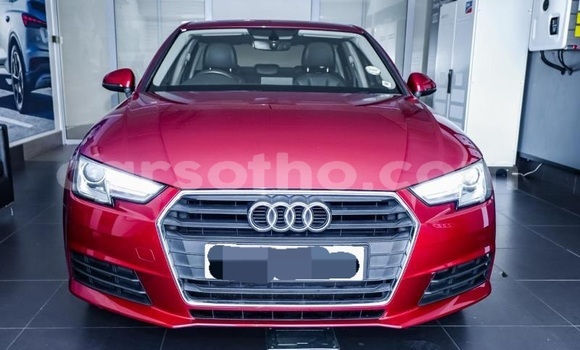 اشتري مستعمل Audi A4 Blue سيارة في Mohale's Hoek في Mohale's Hoek اشتري مستعمل Audi A4 Blue سيارة في Mohale's Hoek في Mohale's Hoek