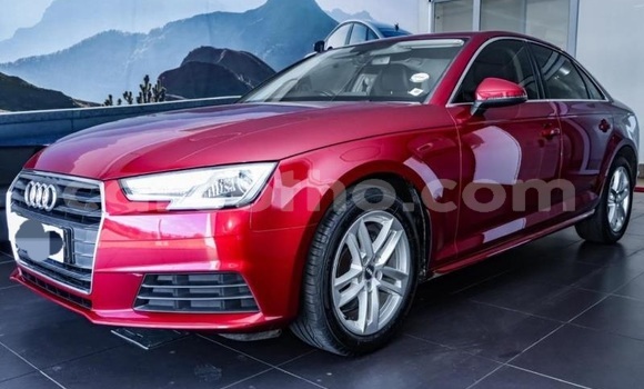 Buy Used Audi A4 Blue Car in Mohale's Hoek in Mohale's Hoek Buy Used Audi A4 Blue Car in Mohale's Hoek in Mohale's Hoek