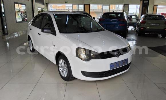 Buy Used Volkswagen Polo White Car in Maseru in Maseru Buy Used Volkswagen Polo White Car in Maseru in Maseru