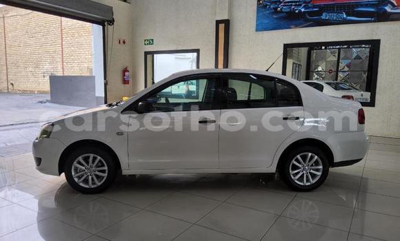 Buy Used Volkswagen Polo White Car in Maseru in Maseru Buy Used Volkswagen Polo White Car in Maseru in Maseru