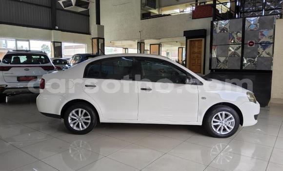 Buy Used Volkswagen Polo White Car in Maseru in Maseru Buy Used Volkswagen Polo White Car in Maseru in Maseru