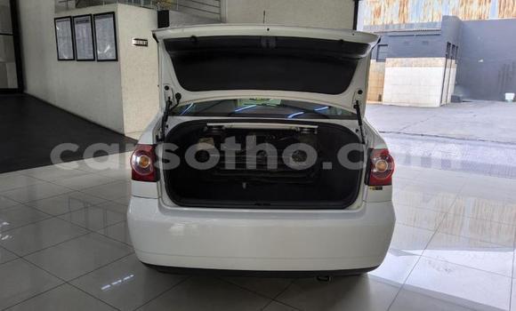 Buy Used Volkswagen Polo White Car in Maseru in Maseru Buy Used Volkswagen Polo White Car in Maseru in Maseru