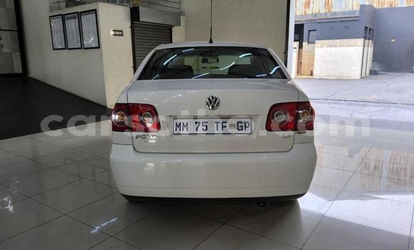 Buy Used Volkswagen Polo White Car in Maseru in Maseru Buy Used Volkswagen Polo White Car in Maseru in Maseru