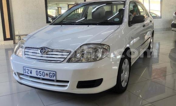 Buy Used Toyota Corolla White Car in Maseru in Maseru