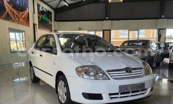 Buy Used Toyota Corolla White Car in Maseru in Maseru Buy Used Toyota Corolla White Car in Maseru in Maseru