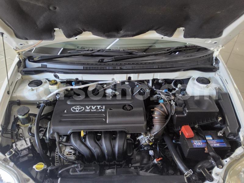 Big with watermark toyota corolla maseru maseru 31763