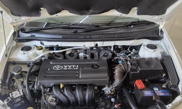 Buy Used Toyota Corolla White Car in Maseru in Maseru Buy Used Toyota Corolla White Car in Maseru in Maseru