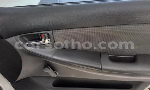 Buy Used Toyota Corolla White Car in Maseru in Maseru Buy Used Toyota Corolla White Car in Maseru in Maseru