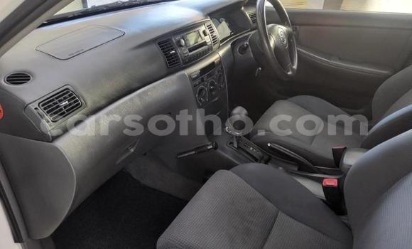 Buy Used Toyota Corolla White Car in Maseru in Maseru Buy Used Toyota Corolla White Car in Maseru in Maseru