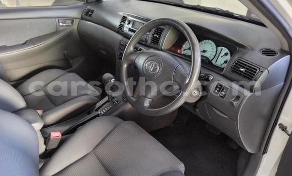 Buy Used Toyota Corolla White Car in Maseru in Maseru Buy Used Toyota Corolla White Car in Maseru in Maseru