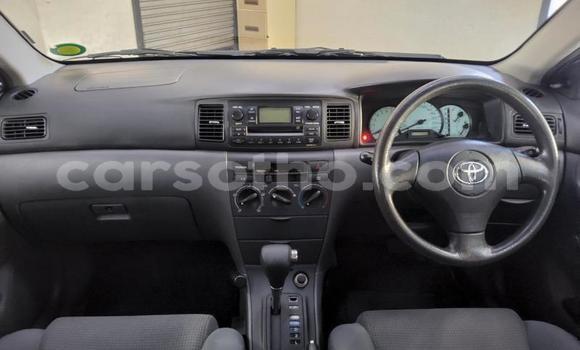 Buy Used Toyota Corolla White Car in Maseru in Maseru Buy Used Toyota Corolla White Car in Maseru in Maseru