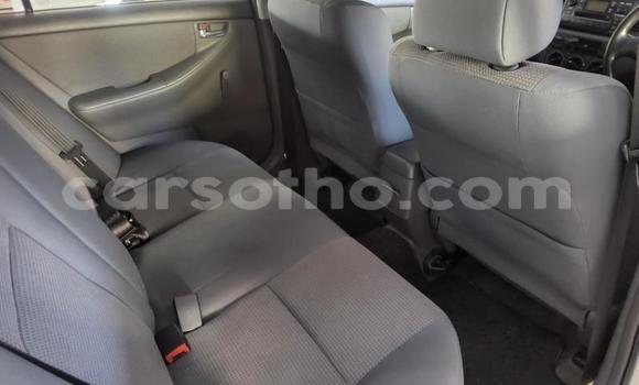 Buy Used Toyota Corolla White Car in Maseru in Maseru Buy Used Toyota Corolla White Car in Maseru in Maseru