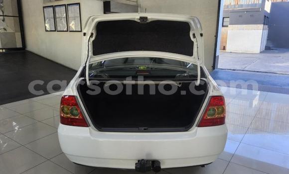 Buy Used Toyota Corolla White Car in Maseru in Maseru Buy Used Toyota Corolla White Car in Maseru in Maseru