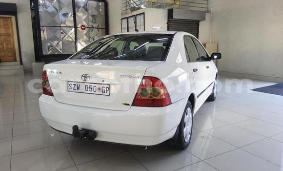 Buy Used Toyota Corolla White Car in Maseru in Maseru Buy Used Toyota Corolla White Car in Maseru in Maseru