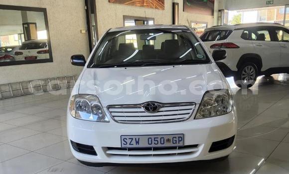 Buy Used Toyota Corolla White Car in Maseru in Maseru Buy Used Toyota Corolla White Car in Maseru in Maseru