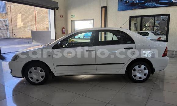 Buy Used Toyota Corolla White Car in Maseru in Maseru Buy Used Toyota Corolla White Car in Maseru in Maseru
