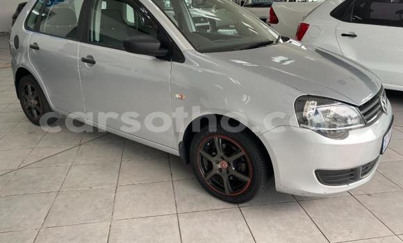 Buy Used Volkswagen Polo Silver Car in Maseru in Maseru