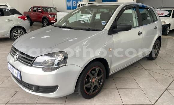 Buy Used Volkswagen Polo Silver Car in Maseru in Maseru Buy Used Volkswagen Polo Silver Car in Maseru in Maseru