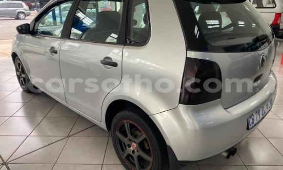 Buy Used Volkswagen Polo Silver Car in Maseru in Maseru Buy Used Volkswagen Polo Silver Car in Maseru in Maseru