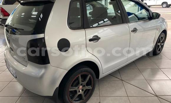 Buy Used Volkswagen Polo Silver Car in Maseru in Maseru Buy Used Volkswagen Polo Silver Car in Maseru in Maseru