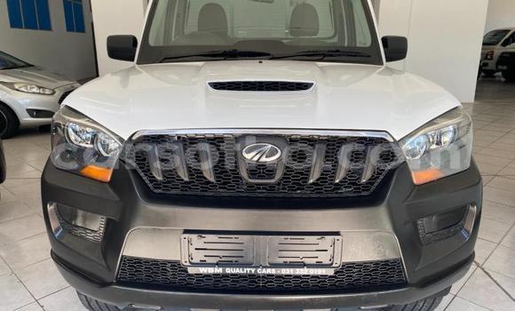 Buy Used Mahindra Bolero White Car in Maseru in Maseru