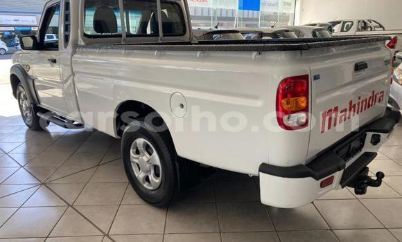 Buy Used Mahindra Bolero White Car in Maseru in Maseru Buy Used Mahindra Bolero White Car in Maseru in Maseru