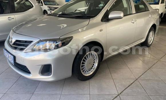 Buy Used Toyota Corolla Silver Car in Maseru in Maseru Buy Used Toyota Corolla Silver Car in Maseru in Maseru