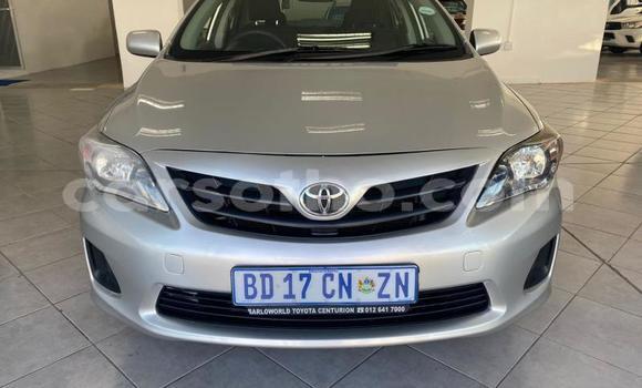 Buy Used Toyota Corolla Silver Car in Maseru in Maseru Buy Used Toyota Corolla Silver Car in Maseru in Maseru
