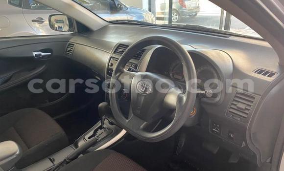 Buy Used Toyota Corolla Silver Car in Maseru in Maseru Buy Used Toyota Corolla Silver Car in Maseru in Maseru
