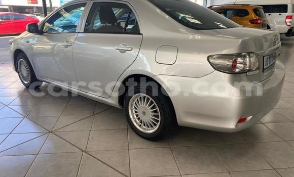 Buy Used Toyota Corolla Silver Car in Maseru in Maseru Buy Used Toyota Corolla Silver Car in Maseru in Maseru