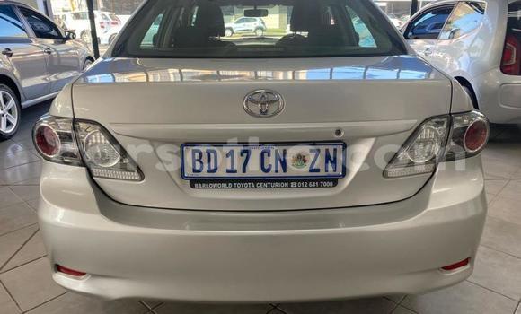 Buy Used Toyota Corolla Silver Car in Maseru in Maseru Buy Used Toyota Corolla Silver Car in Maseru in Maseru