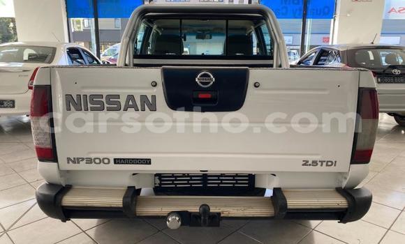Buy Used Nissan NP 300 White Car in Maseru in Maseru Buy Used Nissan NP 300 White Car in Maseru in Maseru