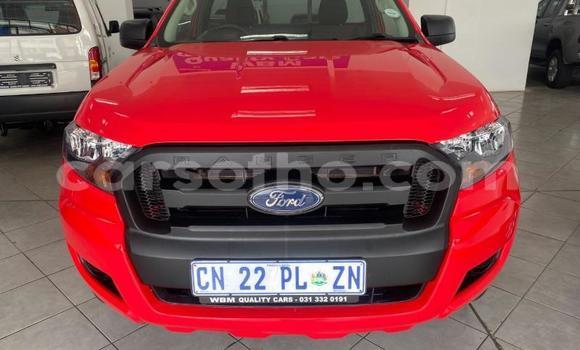 Buy Used Ford Ranger Red Car in Maseru in Maseru