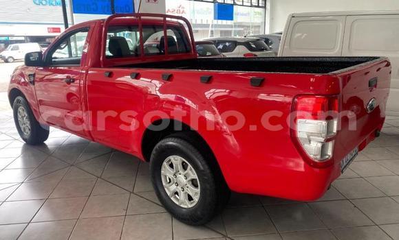 Buy Used Ford Ranger Red Car in Maseru in Maseru Buy Used Ford Ranger Red Car in Maseru in Maseru