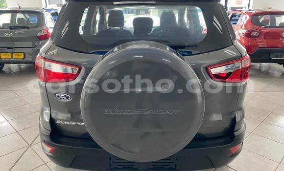 Buy Used Ford EcoSport Other Car in Maseru in Maseru Buy Used Ford EcoSport Other Car in Maseru in Maseru