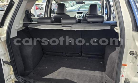 Buy Used Ford EcoSport White Car in Maseru in Maseru Buy Used Ford EcoSport White Car in Maseru in Maseru