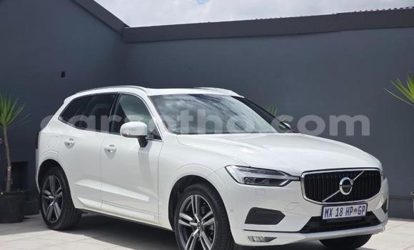 Buy Used Volvo XC60 White Car in Maseru in Maseru Buy Used Volvo XC60 White Car in Maseru in Maseru