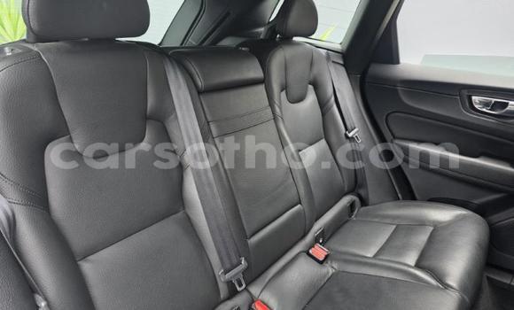 Buy Used Volvo XC60 White Car in Maseru in Maseru Buy Used Volvo XC60 White Car in Maseru in Maseru