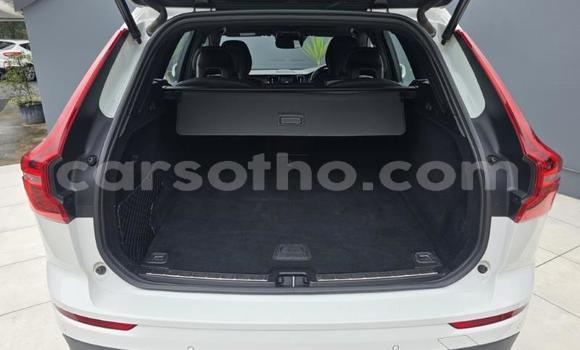 Buy Used Volvo XC60 White Car in Maseru in Maseru Buy Used Volvo XC60 White Car in Maseru in Maseru