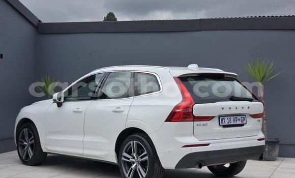 Buy Used Volvo XC60 White Car in Maseru in Maseru Buy Used Volvo XC60 White Car in Maseru in Maseru